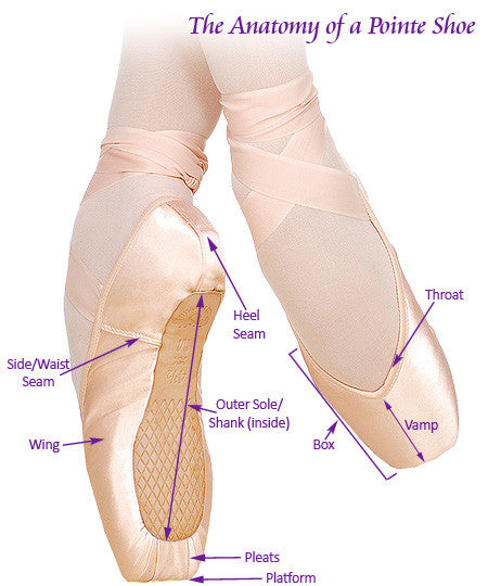 That's D Pointe Dance Shop's Pointe Shoe Fitting Guide
